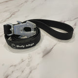 Laisse de chien en PVC imperméable