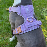 Heavy-Duty Everyday Harness - Lilac
