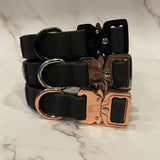 Collier de chien imperméable en PVC de 1 pouce