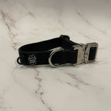 Collier de chien imperméable en PVC de 1 pouce