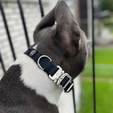 Collier de chien imperméable en PVC de 1 pouce