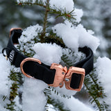 Collier de chien imperméable en PVC de 1 pouce