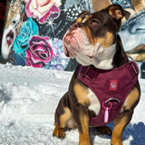 Heavy-Duty Everyday Harness - Cherry Wine