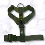 Y Strap Adventure Harness - Cactus Green