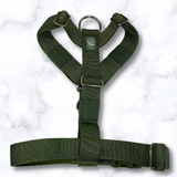 Y Strap Adventure Harness - Cactus Green