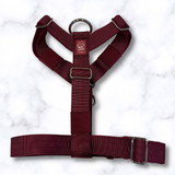 Y Strap Adventure Harness - Cherry Wine