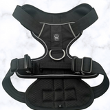 Heavy-Duty Everyday Harness - Black