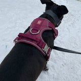 Heavy-Duty Everyday Harness - Cherry Wine