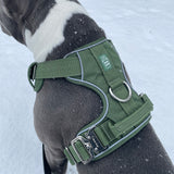 Heavy-Duty Everyday Harness - Cactus Green