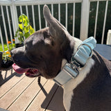 1.5" Tactical Collar with Handle - Baby Blue