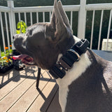 1.5" Tactical Collar with Handle - Black