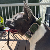 1.5" Tactical Collar with Handle - Cactus Green