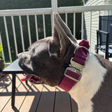1.5" Tactical Collar with Handle - Cherry Wine