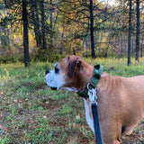 Waterproof PVC Dog Leash