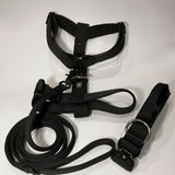 Y Strap Harness + Collar + Leash - Black Set