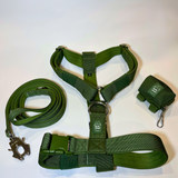 Y Strap Harness + Leash + Dispenser - Cactus Green Set
