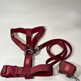 Y Strap Harness + Leash + Dispenser - Cherry Wine Set