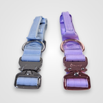 Baby blue and lilac nylon dog collars with adjustable buckles displayed on a light gray background.