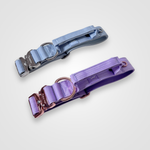 Baby blue and lilac nylon dog collars displayed on a light gray background.