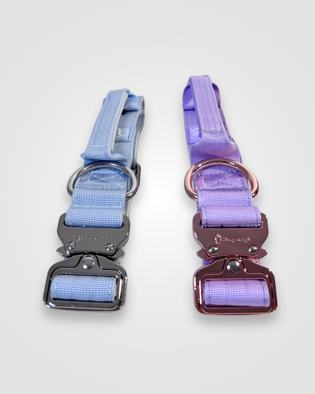 Baby blue and lilac nylon dog collars displayed on a white background.