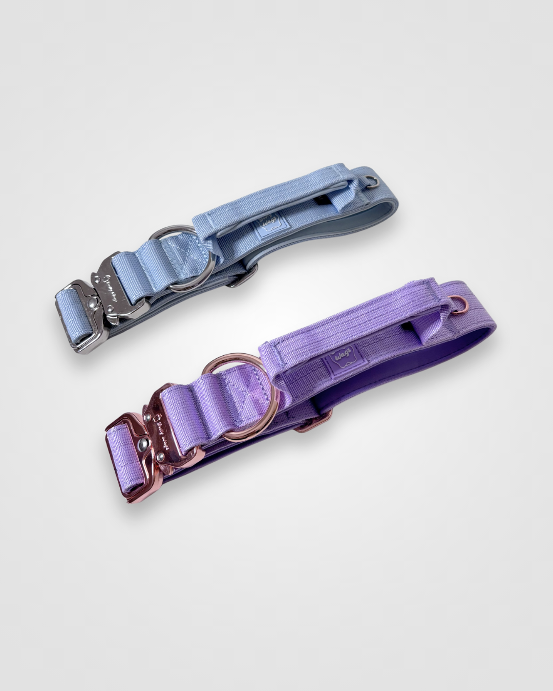 Baby blue and lilac nylon dog collars displayed on a light gray background.
