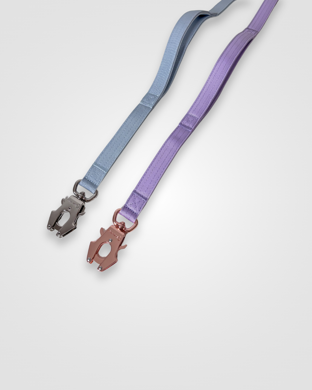 Baby blue and lilac nylon dog leashes displayed on a light gray background.