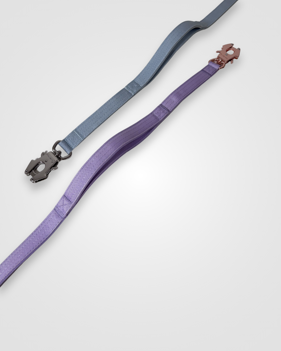 Baby blue and lilac nylon dog leashes displayed on a light gray background.