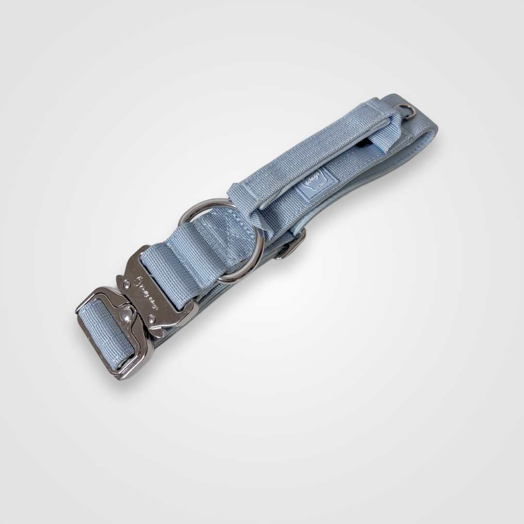 Baby blue nylon dog collar with metal buckle displayed on a light gray background.