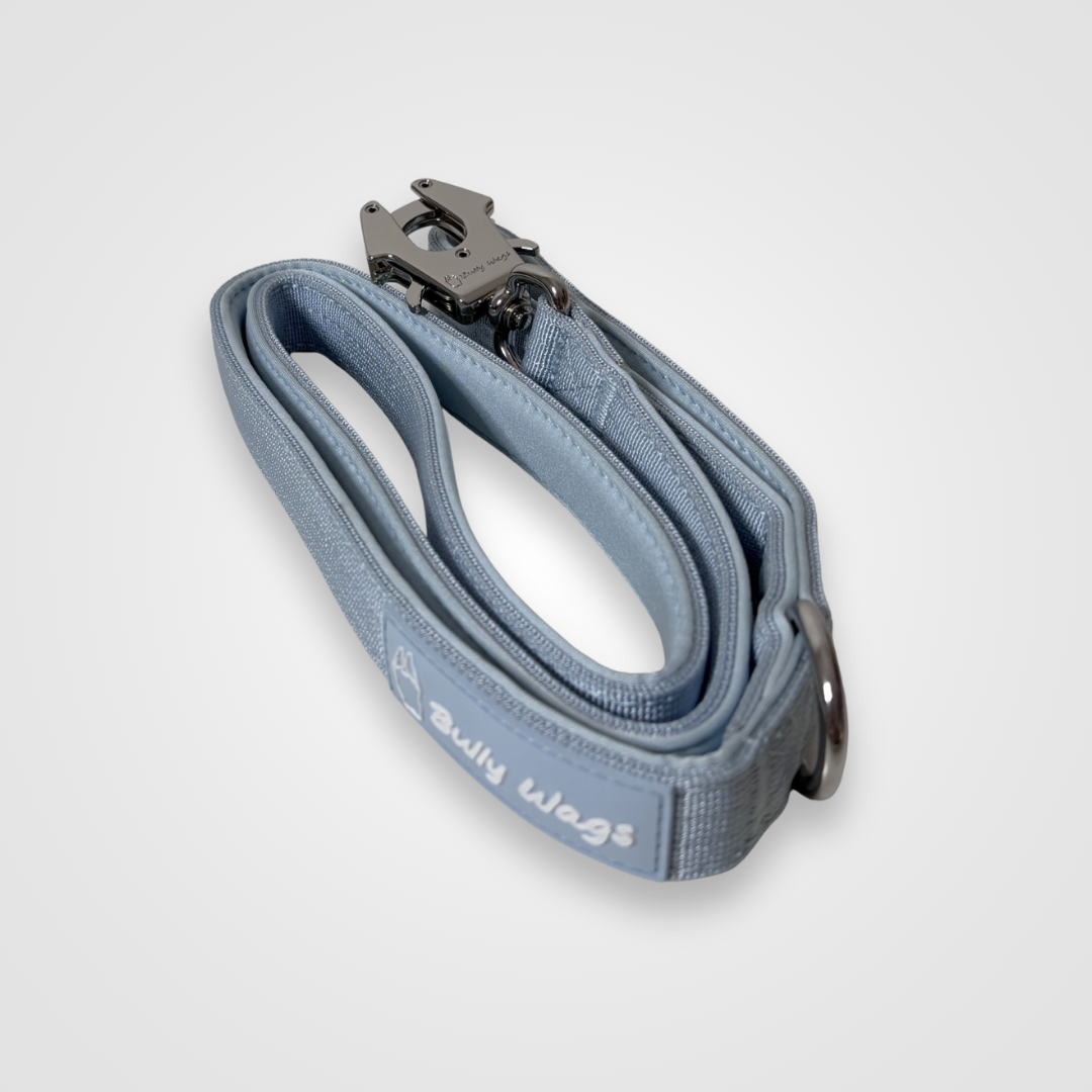 Baby blue nylon dog leash with metal clip displayed on a light gray background.