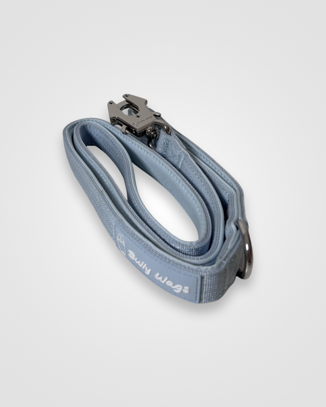 Baby blue nylon dog leash with metal clip displayed on a light gray background.
