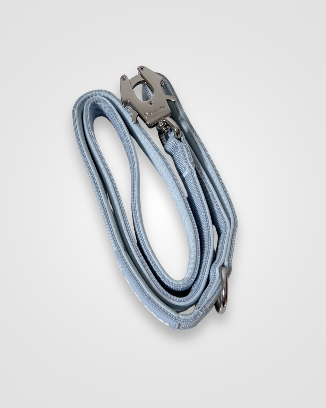 Baby blue nylon dog leash with metal clip displayed on a light gray background.