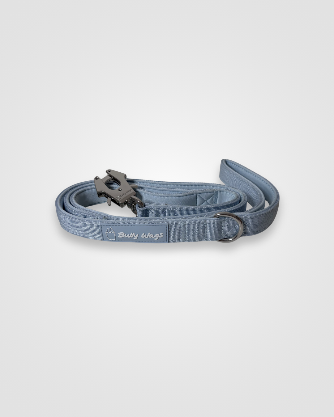 Baby blue nylon dog leash with metal clip displayed on a white background.