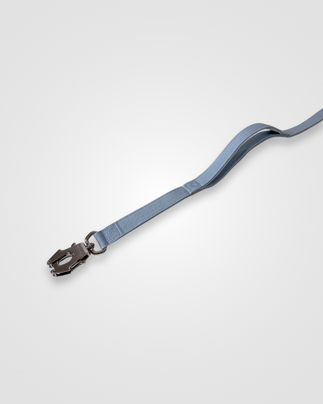 Baby blue nylon dog leash with metal clip displayed on a white background.