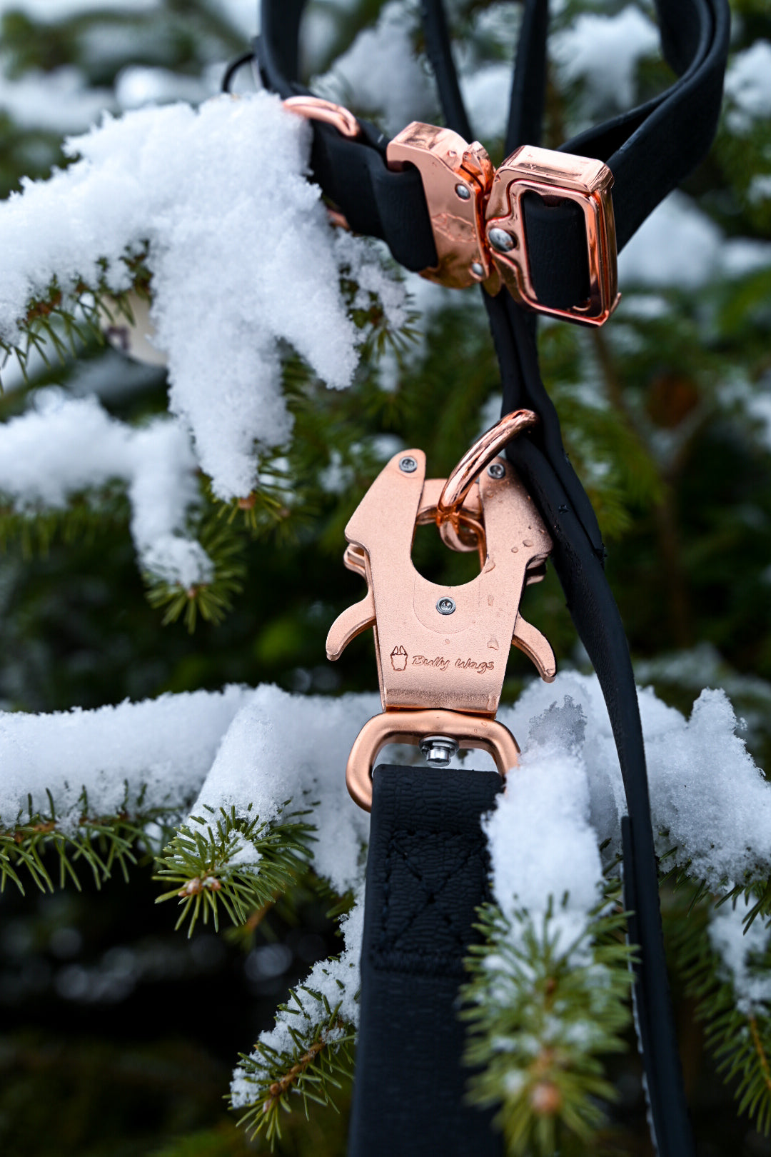 Black PVC dog leash clipped to a matching 1-inch PVC dog collar with rose gold hardware, displayed against a snowy evergreen branch.