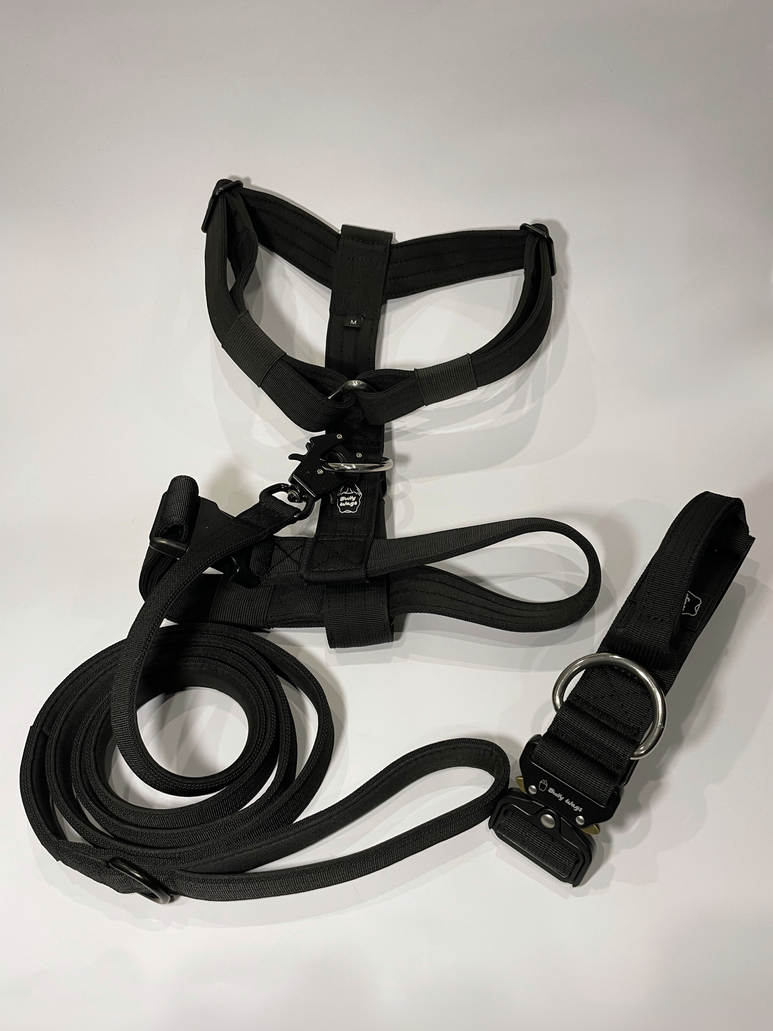 Black Y-strap dog harness, matching dog collar, and matching nylon leash set displayed on a white background.