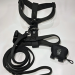 Black Y-strap dog harness, matching nylon leash, and portable poop bag dispenser set displayed on a white background.
