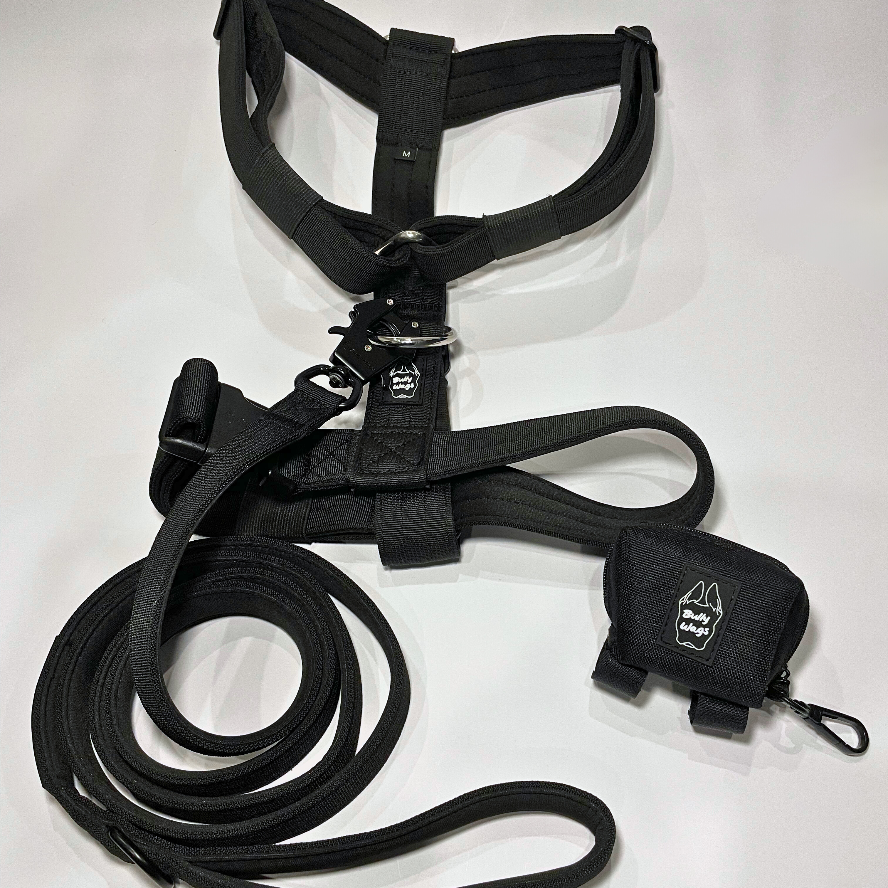 Black Y-strap dog harness, matching nylon leash, and portable poop bag dispenser set displayed on a white background.