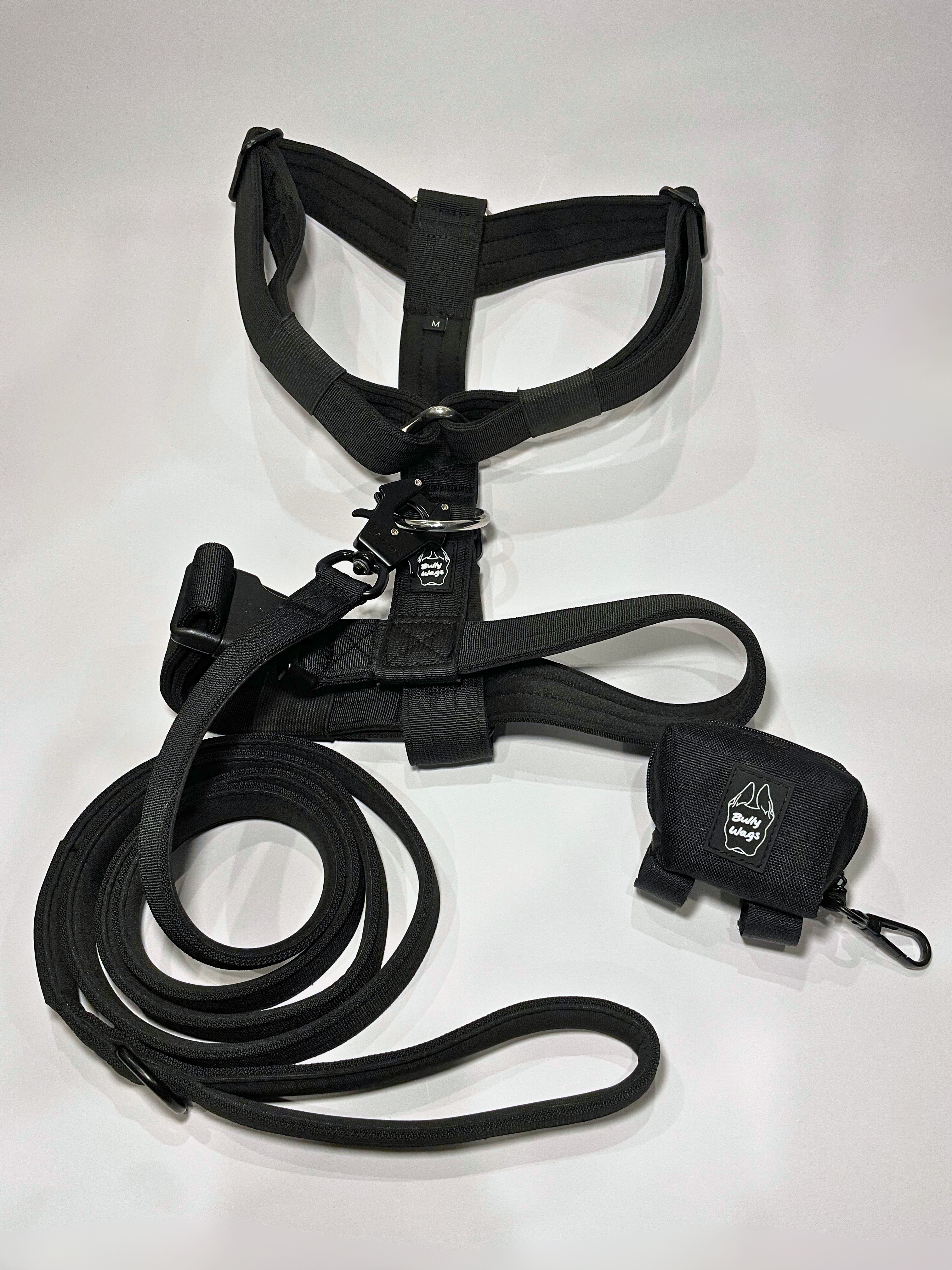 Black Y-strap dog harness, matching nylon leash, and portable poop bag dispenser set displayed on a white background.