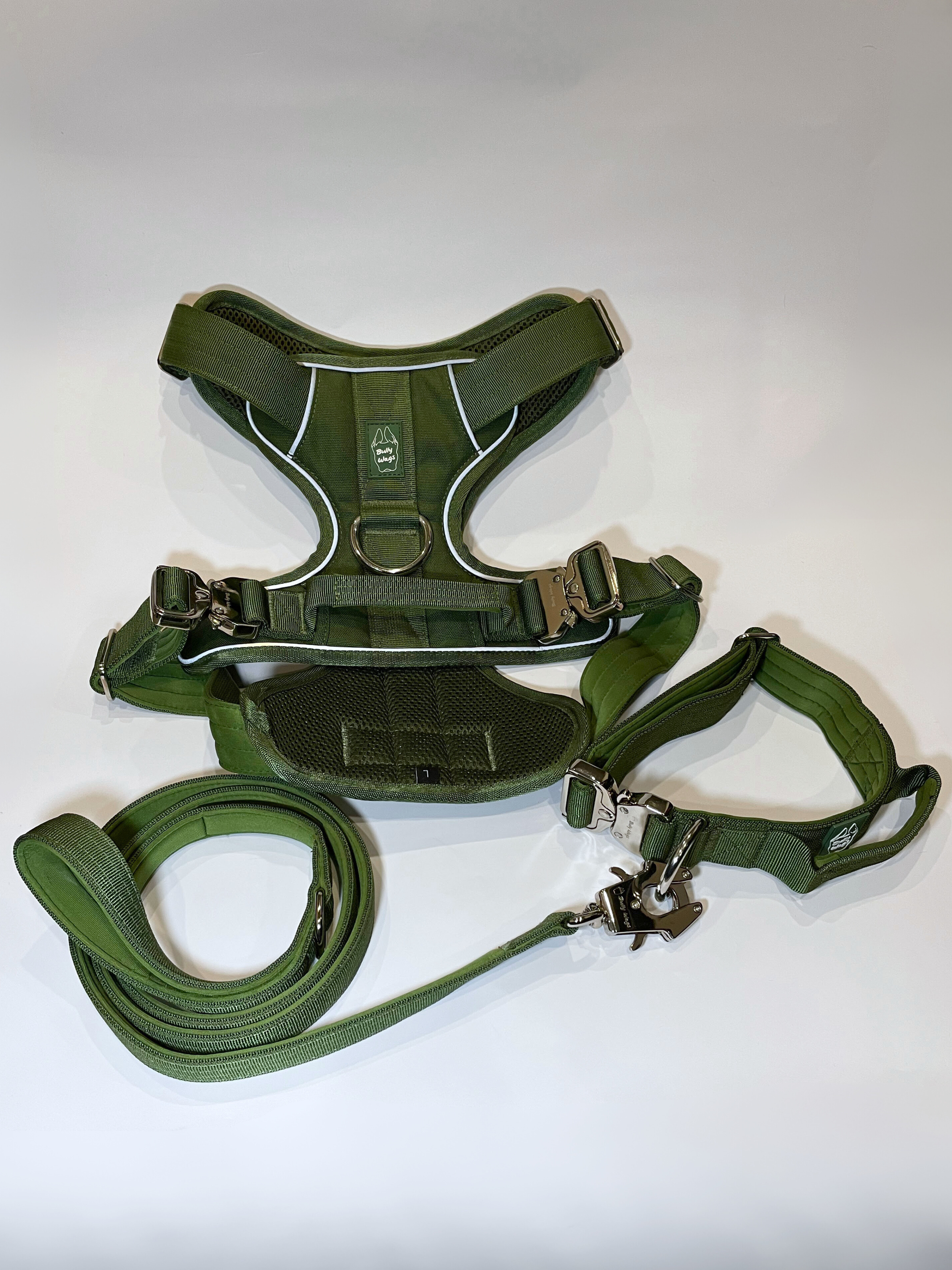 Cactus green Heavy Duty harness, matching dog collar, and matching nylon leash set displayed on a white background.