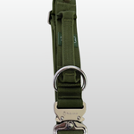 Cactus green nylon dog collar with metal buckle displayed on a white background.