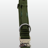 Cactus green nylon dog collar with metal buckle displayed on a white background.