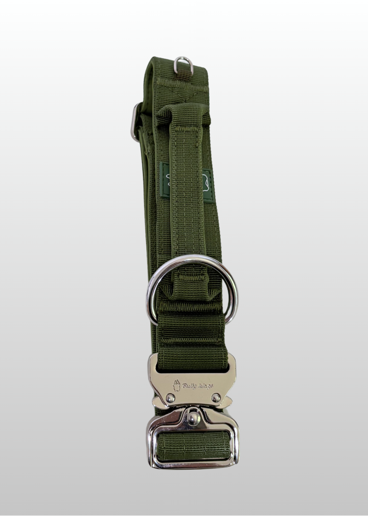 Cactus green nylon dog collar with metal buckle displayed on a white background.