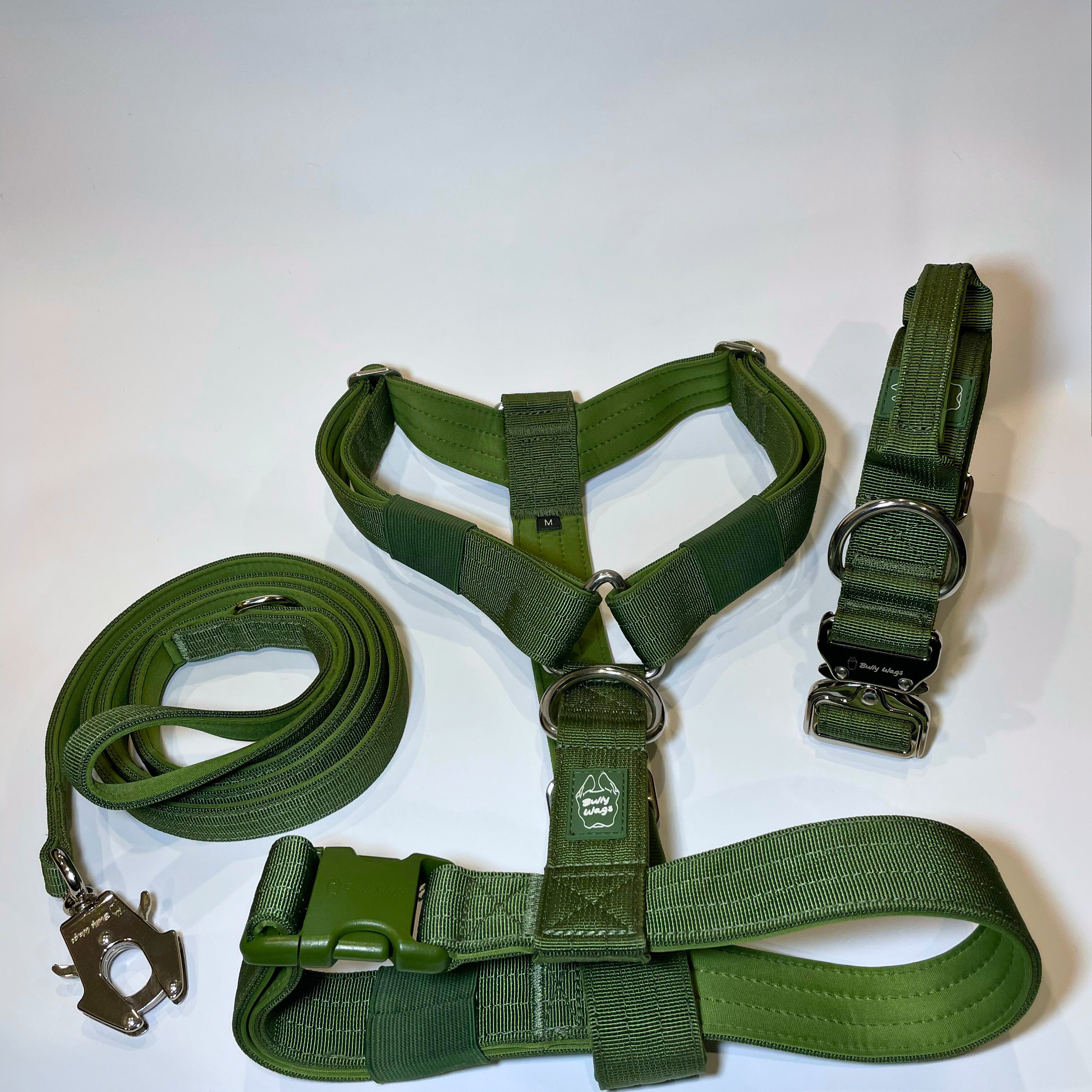 Cactus green Y-strap dog harness, matching dog collar, and matching nylon leash set displayed on a white background.