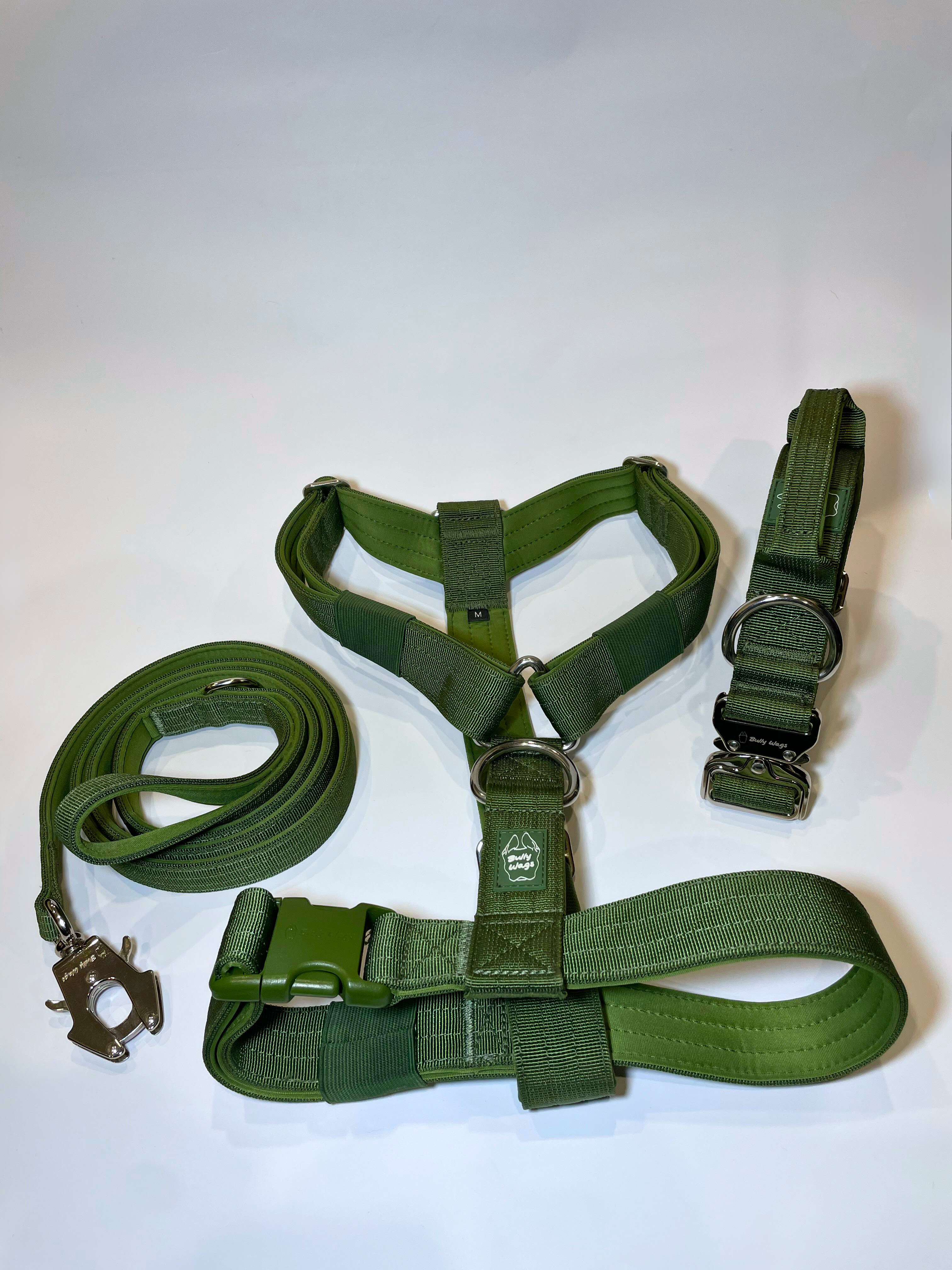 Cactus green Y-strap dog harness, matching dog collar, and matching nylon leash set displayed on a white background.