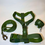 Cactus green Y-strap dog harness, matching nylon leash, and portable poop bag dispenser set displayed on a white background.