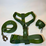 Cactus green Y-strap dog harness, matching nylon leash, and portable poop bag dispenser set displayed on a white background.