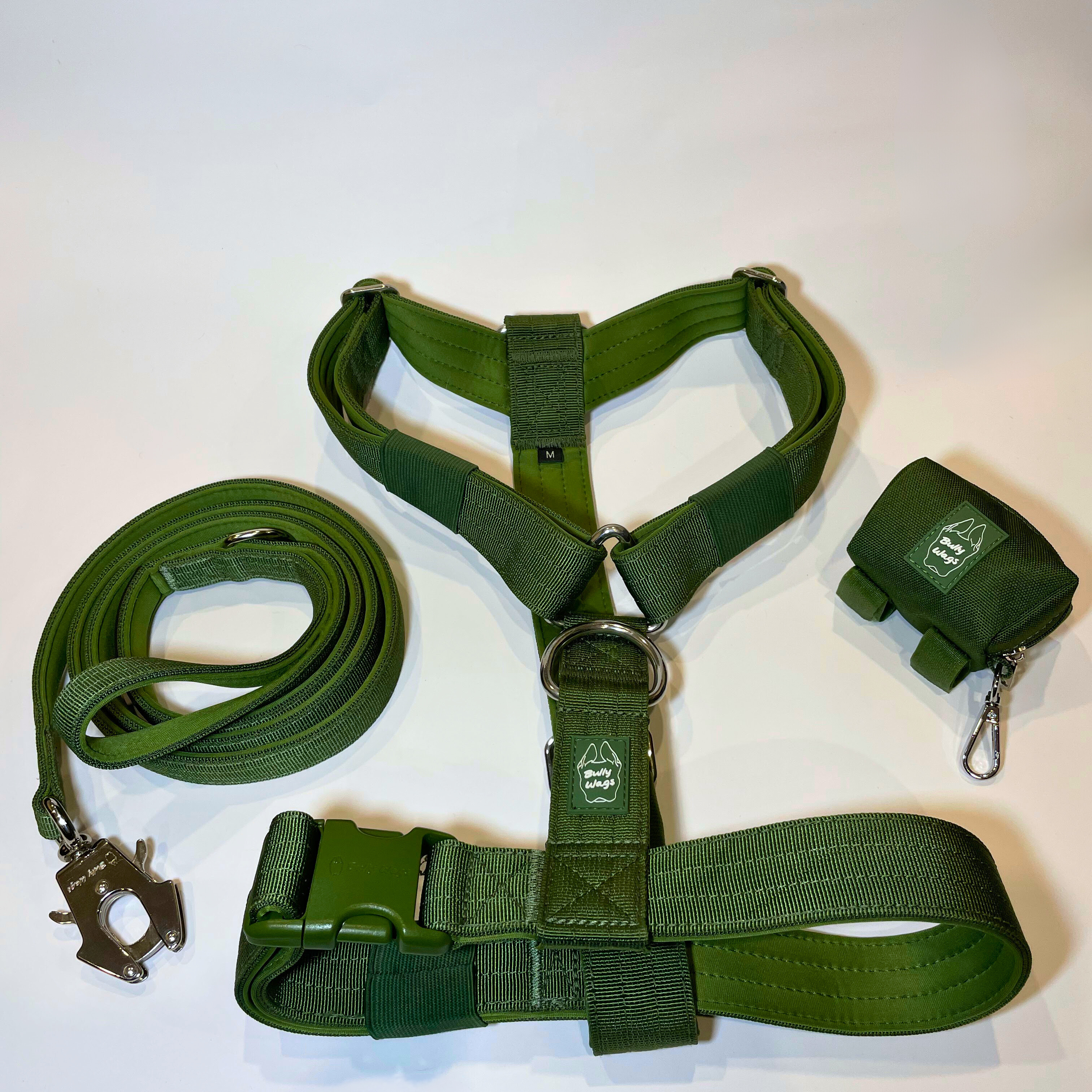 Cactus green Y-strap dog harness, matching nylon leash, and portable poop bag dispenser set displayed on a white background.