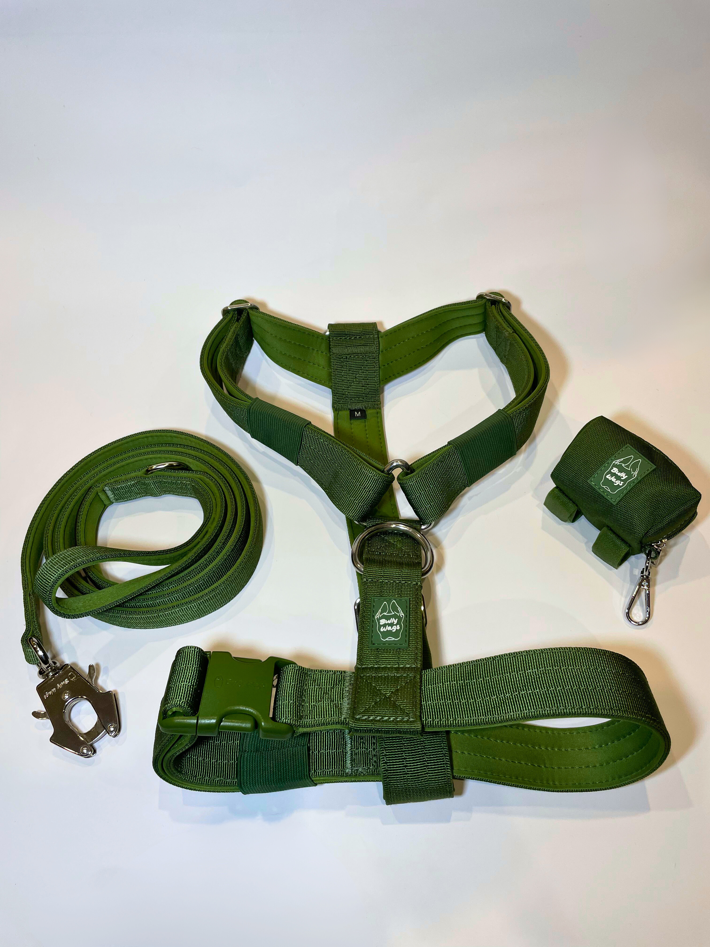 Cactus green Y-strap dog harness, matching nylon leash, and portable poop bag dispenser set displayed on a white background.