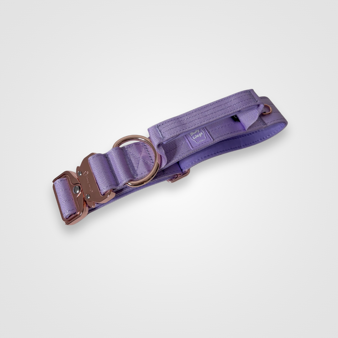 Lilac nylon dog collar displayed on a light gray background.