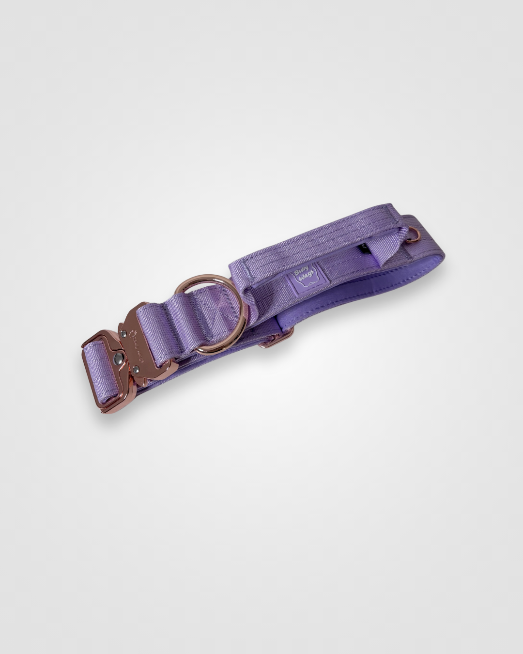 Lilac nylon dog collar displayed on a light gray background.